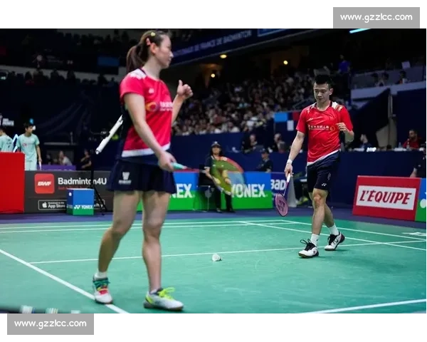 羽毛球涨价超黄金 70%：一根羽毛背后的供需战争